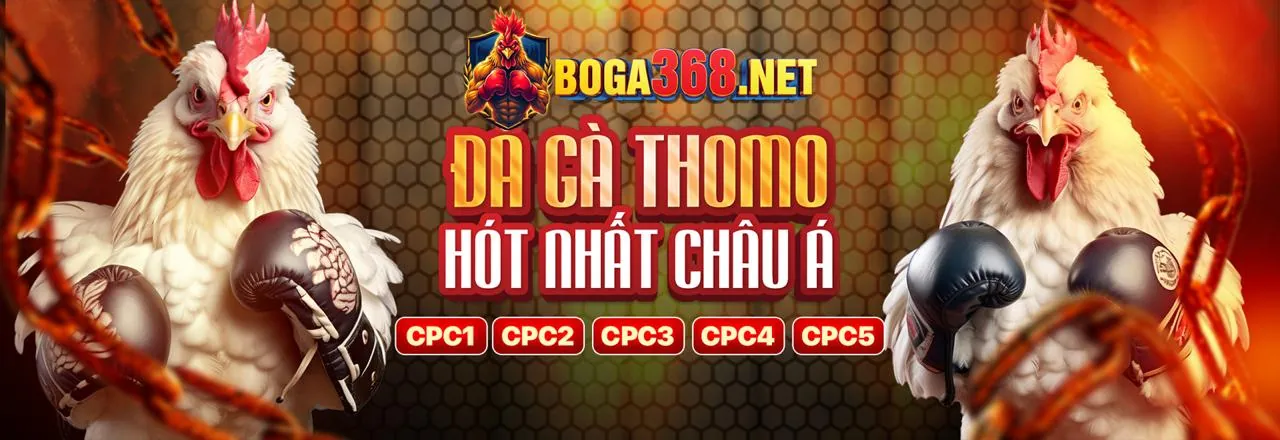 Đá Gà Trực Tiếp 789bet App